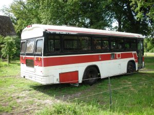 Kamper Blue Bird School Bus konwersja Gdańsk – zdjęcie 3