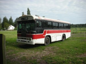 Kamper Blue Bird School Bus konwersja Gdańsk – zdjęcie 2