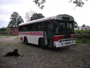 Kamper Blue Bird School Bus konwersja Gdańsk – zdjęcie 5
